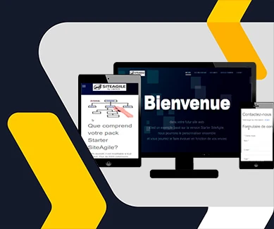 pack site internet starter wikotch