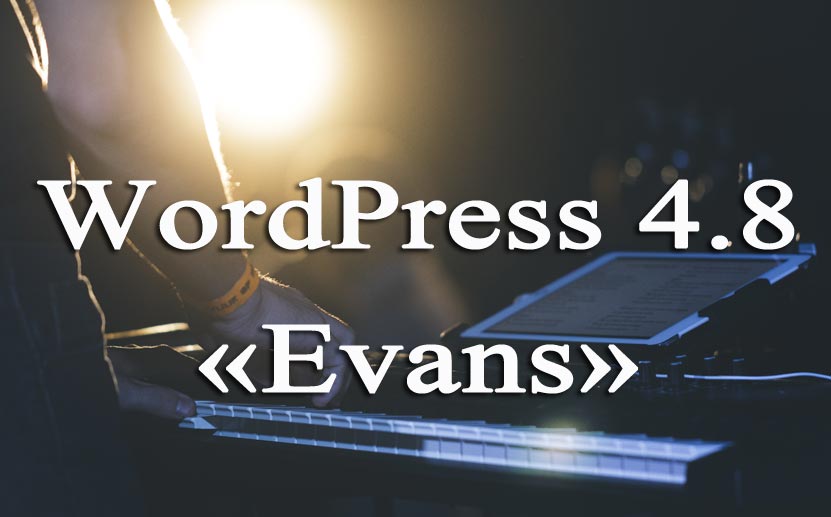 wordpress 4 8