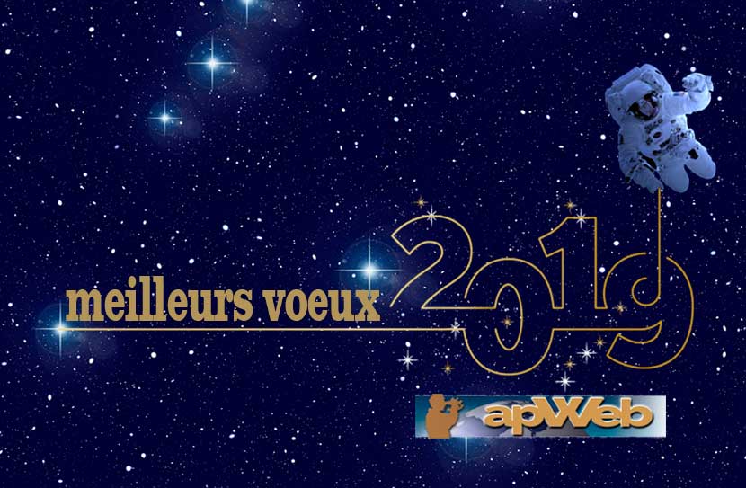 voeux apweb 2019 